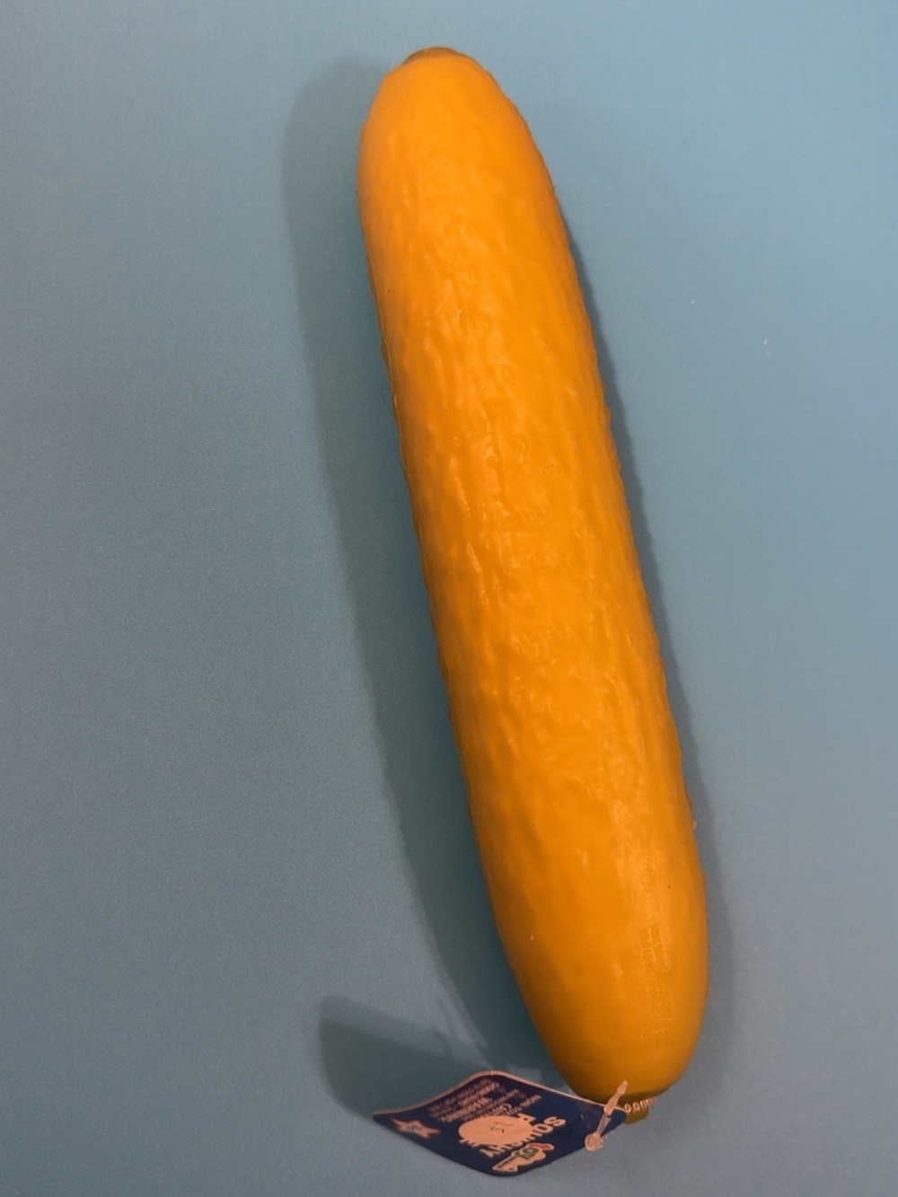 Squishy Pickle Toy
